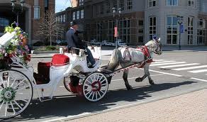 horse drawn carriage