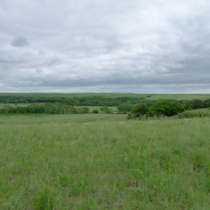 One of many spectacular scenes.