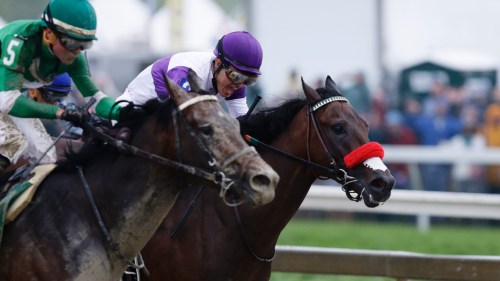 exaggerator-05212016